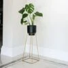 Minimo Plant Stand In Gold H40Cm D21Cm -PlantHub Shop MPSG40 1