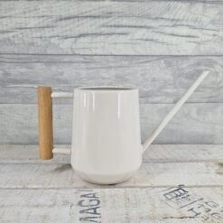 Indoor Watering Can With Beechwood Handle -PlantHub Shop My20project 1206