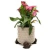 Antique Bronze Coloured Snail Potty Feet - Plant Pot Feet -PlantHub Shop NEW20SNAIL20 20POT20 20PF0029