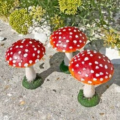 Set Of 3 Red Cap Garden Mushroom Ornaments -PlantHub Shop NJ1034 5