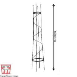 Open Top Obelisk -PlantHub Shop OBE KB0600 C