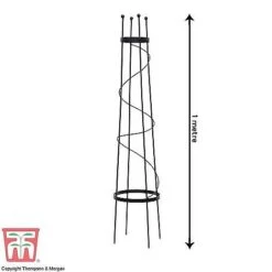 Open Top Obelisk -PlantHub Shop OBE KB0600 D
