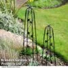 Garden Gear Metal Ornamental Obelisks -PlantHub Shop OBEL GARDGEARM T49308