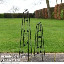 Garden Gear Metal Ornamental Obelisks -PlantHub Shop OBEL GARDGEARM T49309