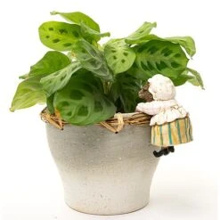 Full Colour Beatrix Potter Mrs. Tiggy-Winkle Pot Buddy - Pot Hanger -PlantHub Shop PBBP0004C 1 new