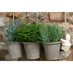 Full Colour Beatrix Potter Mrs. Tiggy-Winkle Pot Buddy - Pot Hanger -PlantHub Shop PBBP0004C 2 new