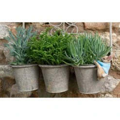 Full Colour Beatrix Potter Peter Rabbit Pot Buddy - Pot Hanger -PlantHub Shop PBBP0010C 2 new