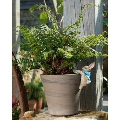 Full Colour Beatrix Potter Peter Rabbit Pot Buddy - Pot Hanger -PlantHub Shop PBBP0010C 4 new