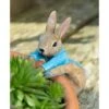 Full Colour Beatrix Potter Peter Rabbit Pot Buddy - Pot Hanger -PlantHub Shop PBBP0010C 6 new