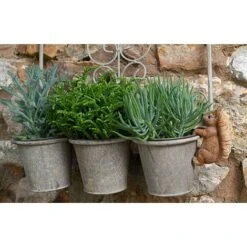 Full Colour Beatrix Potter Squirrel Nutkin Pot Buddy - Pot Hanger 13 Full Colour Beatrix Potter Squirrel Nutkin Pot Buddy - Pot Hanger -PlantHub Shop PBBP007C 2 new