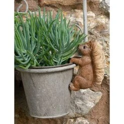 Full Colour Beatrix Potter Squirrel Nutkin Pot Buddy - Pot Hanger 10 Full Colour Beatrix Potter Squirrel Nutkin Pot Buddy - Pot Hanger -PlantHub Shop PBBP007C 3 new