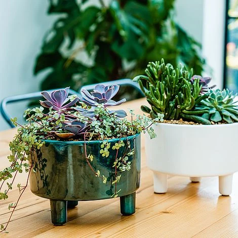 Pisa Emerald Bowl H14Cm D19Cm 4 Pisa Emerald Bowl H14Cm D19Cm - Image 2