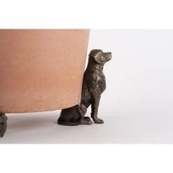 Antique Bronze Coloured Sitting Labrador Potty Feet - Plant Pot Feet 19 Antique Bronze Coloured Sitting Labrador Potty Feet - Plant Pot Feet -PlantHub Shop PF0006 8 new