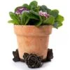 Antique Bronze Coloured Rose Potty Feet - Plant Pot Feet -PlantHub Shop PF0007 5 new