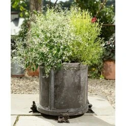 Antique Bronze Coloured Robin Potty Feet - Plant Pot Feet -PlantHub Shop PF0027 2 new