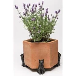 Antique Bronze Coloured Sitting Cat Potty Feet - Plant Pot Feet -PlantHub Shop PF0033 1 new
