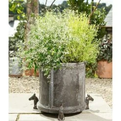 Antique Bronze Coloured Horse Potty Feet - Plant Pot Feet -PlantHub Shop PF0037 4 new