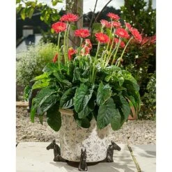 Antique Bronze Coloured Horse Potty Feet - Plant Pot Feet -PlantHub Shop PF0037 5 new