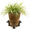 Antique Bronze Coloured Horse Potty Feet - Plant Pot Feet -PlantHub Shop PF0037 6 new