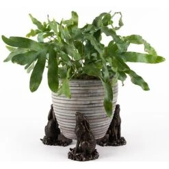 Antique Bronze Coloured Moongazing Hare Potty Feet - Plant Pot Feet -PlantHub Shop PF0057 4 new