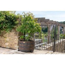 Antique Bronze Coloured Moongazing Hare Potty Feet - Plant Pot Feet -PlantHub Shop PF0057 5 new