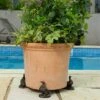 Antique Bronze Coloured Aylesbury Duck Potty Feet - Plant Pot Feet -PlantHub Shop PF0077 22 new