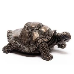 Antique Bronze Coloured Tortoise Potty Feet - Plant Pot Feet -PlantHub Shop PF0084 6 new