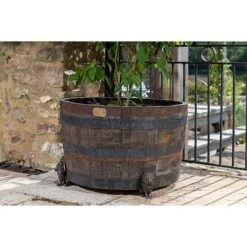 Antique Bronze Coloured Sitting Lion Potty Feet - Plant Pot Feet -PlantHub Shop PF0094 4 new