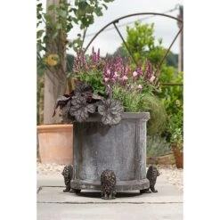 Antique Bronze Coloured Sitting Lion Potty Feet - Plant Pot Feet -PlantHub Shop PF0094 5 new