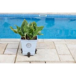 Antique Bronze Coloured Sitting Lion Potty Feet - Plant Pot Feet -PlantHub Shop PF0094 7 new