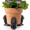 Antique Bronze Coloured Sitting Lion Potty Feet - Plant Pot Feet 1 Antique Bronze Coloured Sitting Lion Potty Feet - Plant Pot Feet -PlantHub Shop PF0094 81 new
