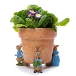 Full Colour Beatrix Potter Peter Rabbit Potty Feet - Plant Pot Feet -PlantHub Shop PFBP000123C 6 new