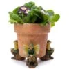 Full Colour Elm Tree Flower Fairy Potty Feet - Plant Pot Feet 2 Full Colour Elm Tree Flower Fairy Potty Feet - Plant Pot Feet -PlantHub Shop PFFF0007C 51 new