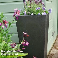 Sonata Garden Planters -PlantHub Shop PLAN SLATE70CM S48202
