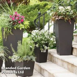 Sonata Garden Planters -PlantHub Shop PLAN SONATA S48196