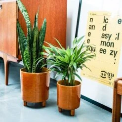 Pisa Mustard Planter H19Cm D16Cm -PlantHub Shop PMP19 2