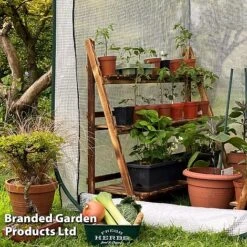 Medium Poly Pop Up (with Door) -PlantHub Shop POPU POLYMEDIU S41974