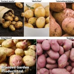 Potato Must Have Collection