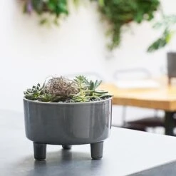 Pisa Slate Bowl H14Cm D19Cm 7 Pisa Slate Bowl H14Cm D19Cm -PlantHub Shop PSB19 1