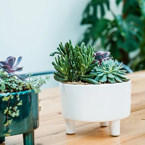 Pisa White Bowl H14Cm D19Cm 3 Pisa White Bowl H14Cm D19Cm