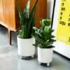 Pisa White Planter H19Cm D16Cm -PlantHub Shop PWP19 1