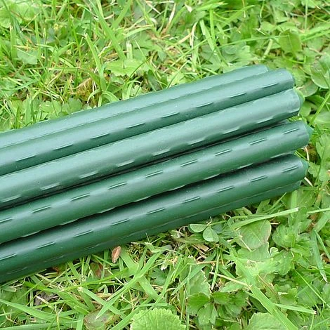 Plant Stake & Tomato Support Garden Canes - 0.75m / 29.5" Long 5 Plant Stake & Tomato Support Garden Canes - 0.75m / 29.5" Long - Image 3