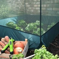 Pop Up Fruit And Vegetable Cage Grow-House (0.65m High) -PlantHub Shop Pop20Up20Net20Cage200.65201000x100020967kb