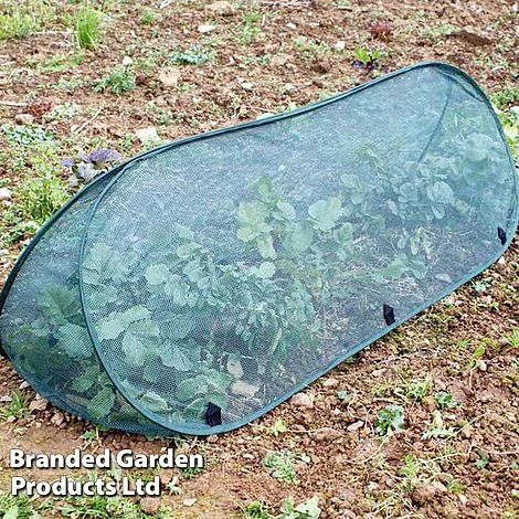 Pop Up Triangle Cloche - Net 3 Pop Up Triangle Cloche - Net