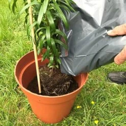 'Pot Master' Drainer Disc (packs Of 3) -PlantHub Shop Pot20Master201000x100020820kb