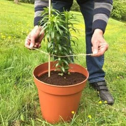 'Pot Master' Drainer Disc (packs Of 3) -PlantHub Shop Pot20Master201000x100020880kb