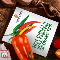 Red Hot Chilli & Sweet Peppers Growing Kit - Gift -PlantHub Shop REDH KA8274 D