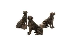 Antique Bronze Coloured Retriever Potty Feet - Plant Pot Feet 10 Antique Bronze Coloured Retriever Potty Feet - Plant Pot Feet -PlantHub Shop RETIEVER20 20GROUP20 20PF0042A