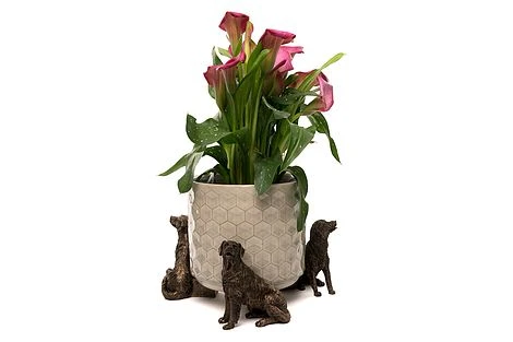 Antique Bronze Coloured Retriever Potty Feet - Plant Pot Feet 9 Antique Bronze Coloured Retriever Potty Feet - Plant Pot Feet - Image 7