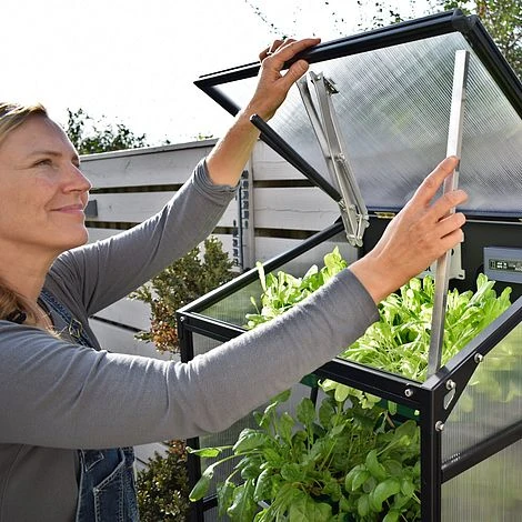 Sprout S10 - Climate Controlled Mini Greenhouse 5 Sprout S10 - Climate Controlled Mini Greenhouse - Image 3